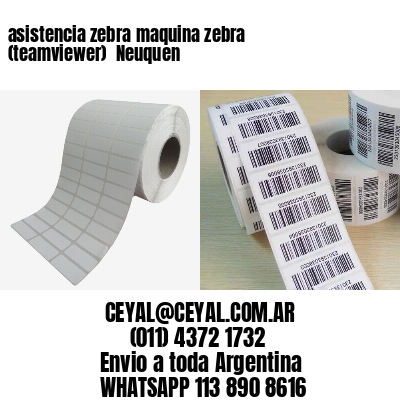 asistencia zebra maquina zebra (teamviewer)  Neuquen