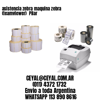 asistencia zebra maquina zebra (teamviewer)  Pilar