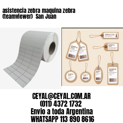 asistencia zebra maquina zebra (teamviewer)  San Juan