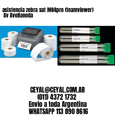 asistencia zebra sat M84pro (teamviewer)  Av Avellaneda