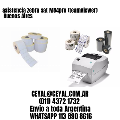 asistencia zebra sat M84pro (teamviewer)  Buenos Aires