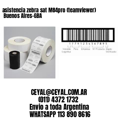 asistencia zebra sat M84pro (teamviewer)  Buenos Aires-GBA