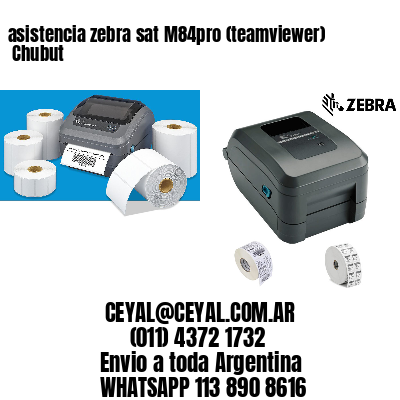 asistencia zebra sat M84pro (teamviewer)  Chubut