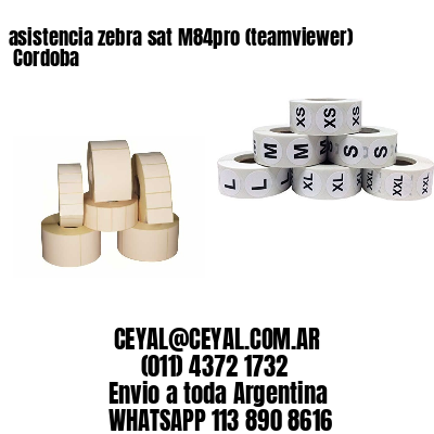 asistencia zebra sat M84pro (teamviewer)  Cordoba
