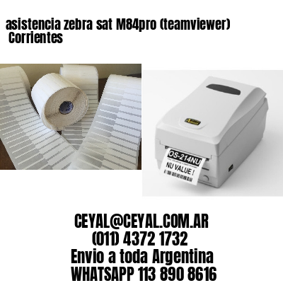 asistencia zebra sat M84pro (teamviewer)  Corrientes