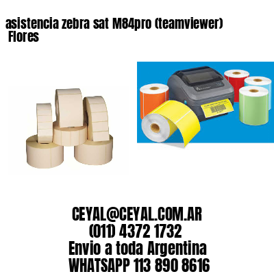 asistencia zebra sat M84pro (teamviewer)  Flores