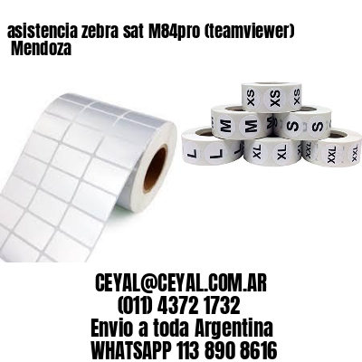 asistencia zebra sat M84pro (teamviewer)  Mendoza