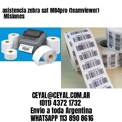 asistencia zebra sat M84pro (teamviewer)  Misiones