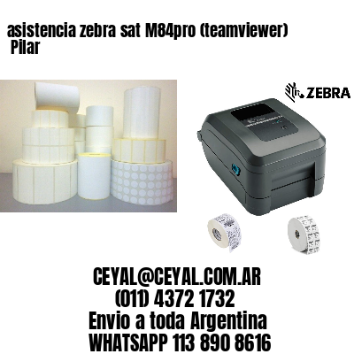asistencia zebra sat M84pro (teamviewer)  Pilar