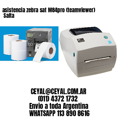 asistencia zebra sat M84pro (teamviewer)  Salta