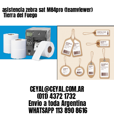 asistencia zebra sat M84pro (teamviewer)  Tierra del Fuego