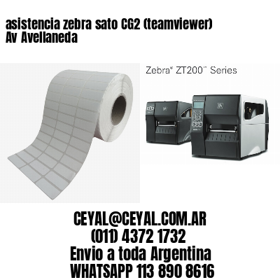 asistencia zebra sato CG2 (teamviewer)  Av Avellaneda