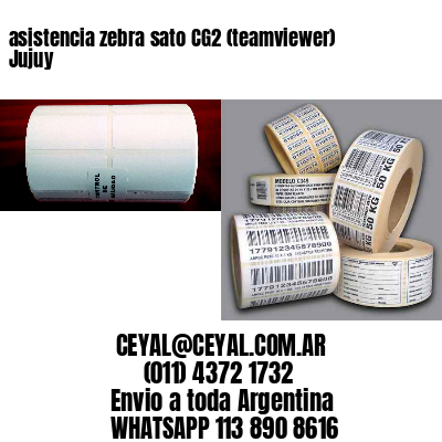 asistencia zebra sato CG2 (teamviewer)  Jujuy