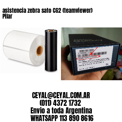 asistencia zebra sato CG2 (teamviewer)  Pilar