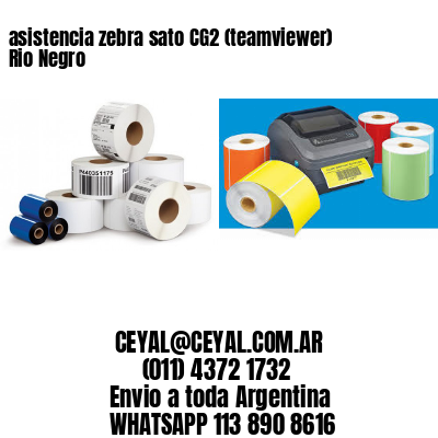 asistencia zebra sato CG2 (teamviewer)  Rio Negro