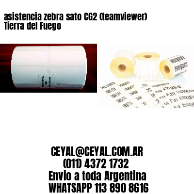 asistencia zebra sato CG2 (teamviewer)  Tierra del Fuego
