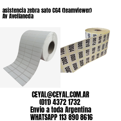 asistencia zebra sato CG4 (teamviewer)  Av Avellaneda