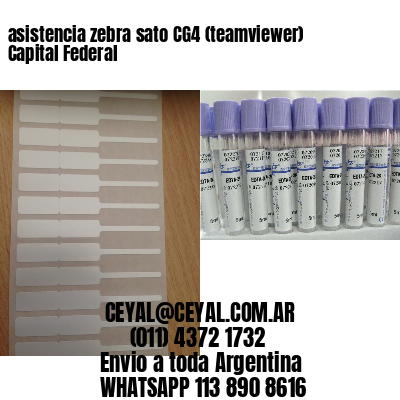 asistencia zebra sato CG4 (teamviewer)  Capital Federal