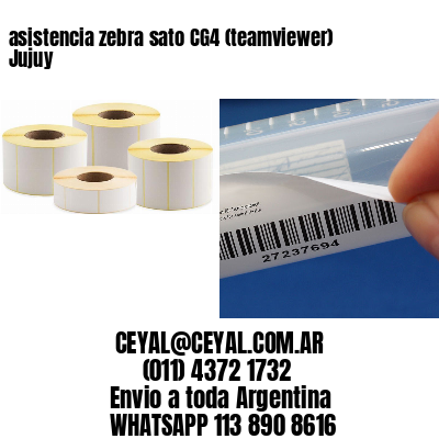 asistencia zebra sato CG4 (teamviewer)  Jujuy