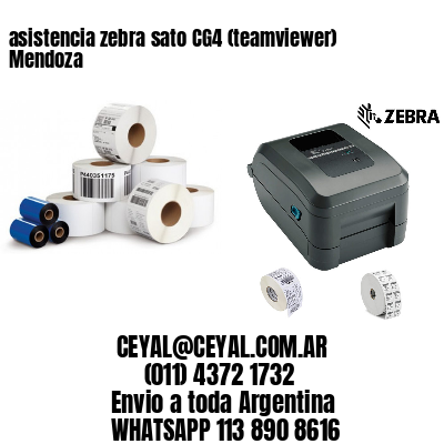 asistencia zebra sato CG4 (teamviewer)  Mendoza