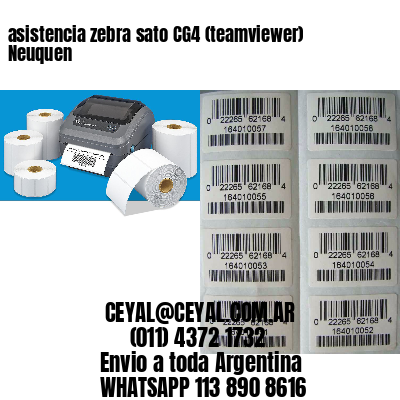asistencia zebra sato CG4 (teamviewer)  Neuquen