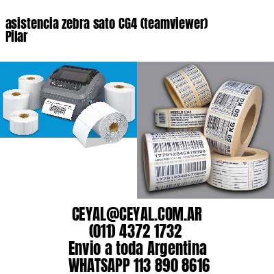 asistencia zebra sato CG4 (teamviewer)  Pilar