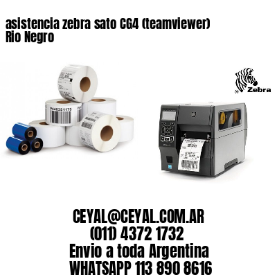 asistencia zebra sato CG4 (teamviewer)  Rio Negro