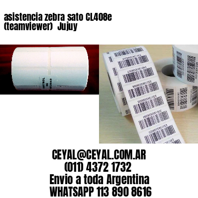 asistencia zebra sato CL408e (teamviewer)  Jujuy