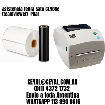 asistencia zebra sato CL408e (teamviewer)  Pilar