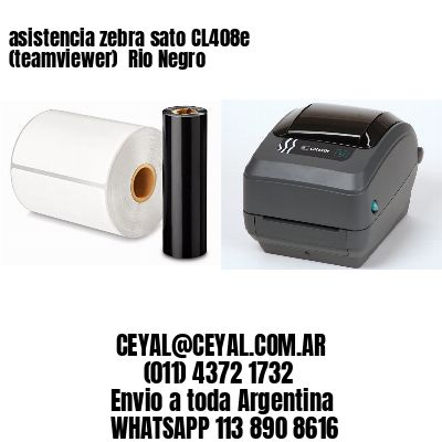 asistencia zebra sato CL408e (teamviewer)  Rio Negro