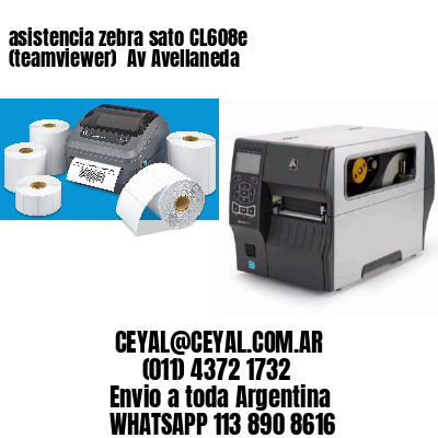 asistencia zebra sato CL608e (teamviewer)  Av Avellaneda