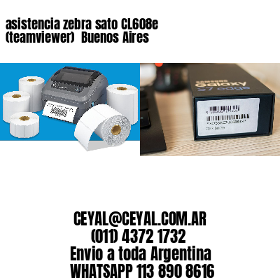asistencia zebra sato CL608e (teamviewer)  Buenos Aires