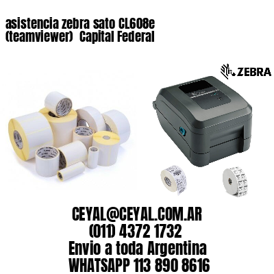 asistencia zebra sato CL608e (teamviewer)  Capital Federal
