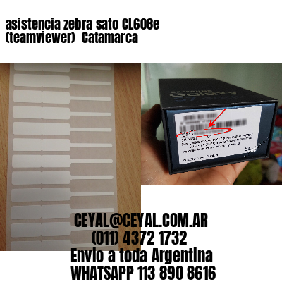 asistencia zebra sato CL608e (teamviewer)  Catamarca