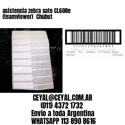 asistencia zebra sato CL608e (teamviewer)  Chubut
