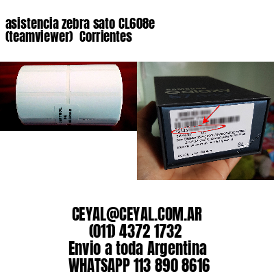 asistencia zebra sato CL608e (teamviewer)  Corrientes