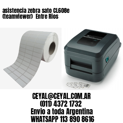 asistencia zebra sato CL608e (teamviewer)  Entre Rios