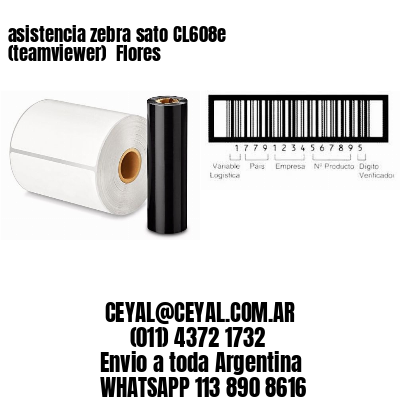 asistencia zebra sato CL608e (teamviewer)  Flores