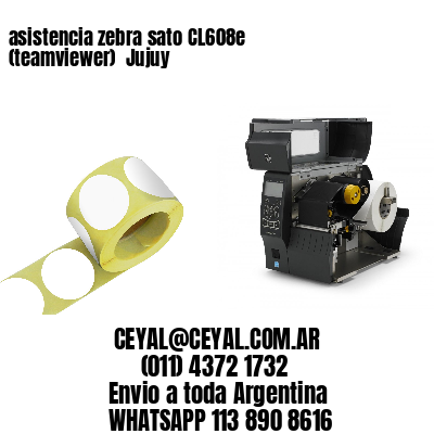 asistencia zebra sato CL608e (teamviewer)  Jujuy