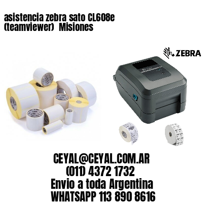 asistencia zebra sato CL608e (teamviewer)  Misiones