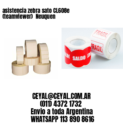 asistencia zebra sato CL608e (teamviewer)  Neuquen