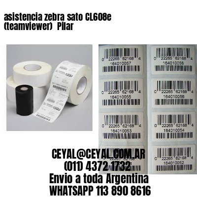 asistencia zebra sato CL608e (teamviewer)  Pilar