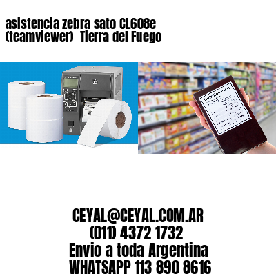 asistencia zebra sato CL608e (teamviewer)  Tierra del Fuego
