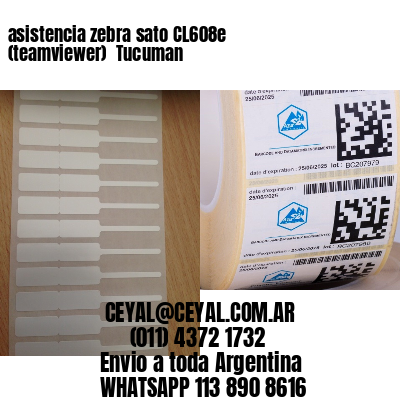 asistencia zebra sato CL608e (teamviewer)  Tucuman