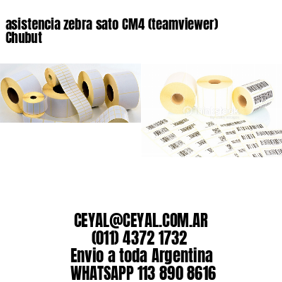 asistencia zebra sato CM4 (teamviewer)  Chubut