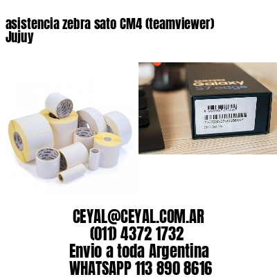 asistencia zebra sato CM4 (teamviewer)  Jujuy