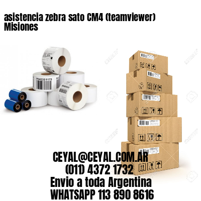 asistencia zebra sato CM4 (teamviewer)  Misiones