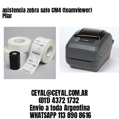 asistencia zebra sato CM4 (teamviewer)  Pilar