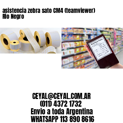 asistencia zebra sato CM4 (teamviewer)  Rio Negro