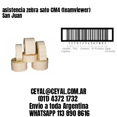 asistencia zebra sato CM4 (teamviewer)  San Juan